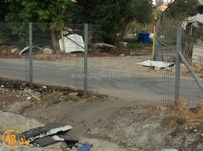 zharaa2 scoollsk (3).jpg